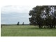 “Lockvoil” 1403 ACRES, Dulacca QLD 4425