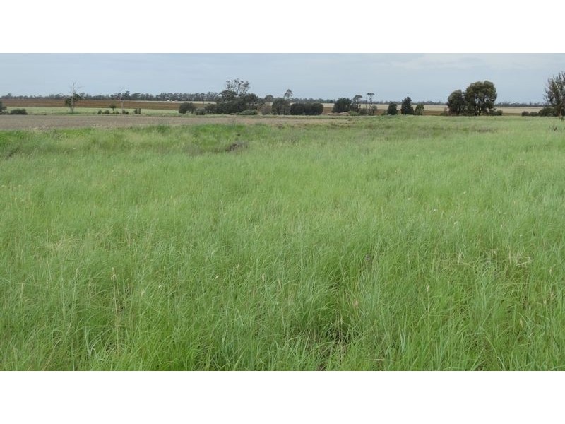 “Lockvoil” 1403 ACRES, Dulacca QLD 4425