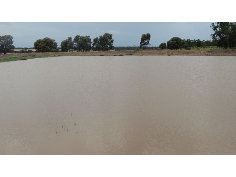 “Lockvoil” 1403 ACRES, Dulacca QLD 4425