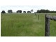 “Lockvoil” 1403 ACRES, Dulacca QLD 4425
