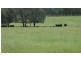 “Lockvoil” 1403 ACRES, Dulacca QLD 4425