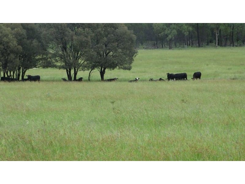 “Lockvoil” 1403 ACRES, Dulacca QLD 4425