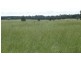 “Lockvoil” 1403 ACRES, Dulacca QLD 4425