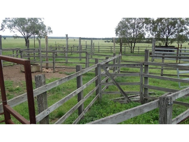 “Lockvoil” 1403 ACRES, Dulacca QLD 4425