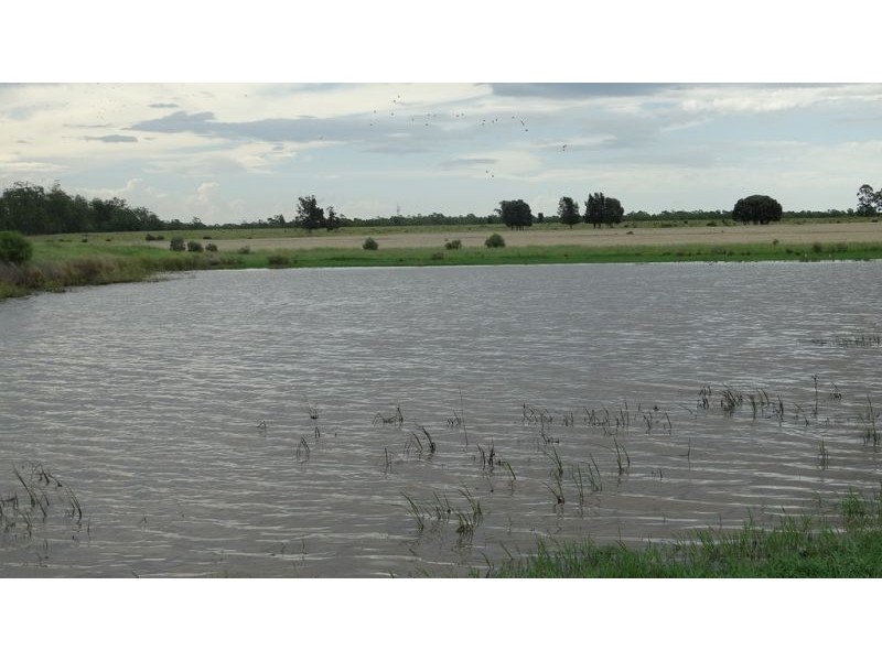 “Lockvoil” 1403 ACRES, Dulacca QLD 4425