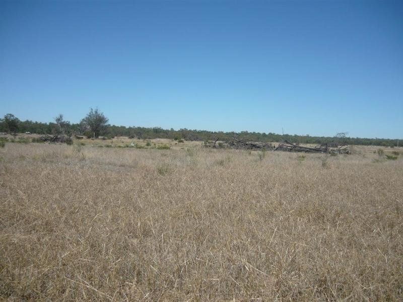 38672 Leichhardt Highway, Miles QLD 4415