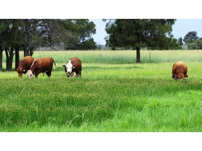 Rangeview & Melrose 1279 Acres, Chinchilla QLD 4413