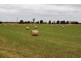 Rangeview & Melrose 1279 Acres, Chinchilla QLD 4413