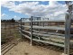 Rangeview & Melrose 1279 Acres, Chinchilla QLD 4413