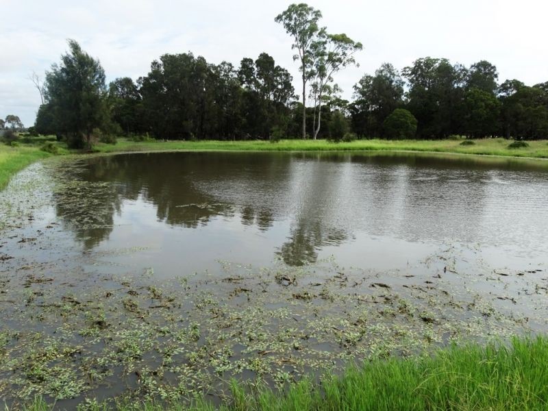 Rangeview & Melrose 1279 Acres, Chinchilla QLD 4413