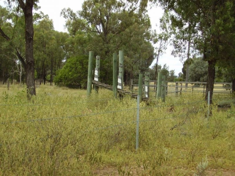 173 Surcingle Road, Chinchilla QLD 4413