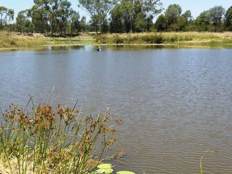 640 ACRES 2400 Butler Road, Drillham QLD 4424