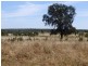 640 ACRES 2400 Butler Road, Drillham QLD 4424