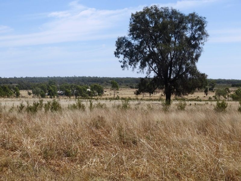 640 ACRES 2400 Butler Road, Drillham QLD 4424
