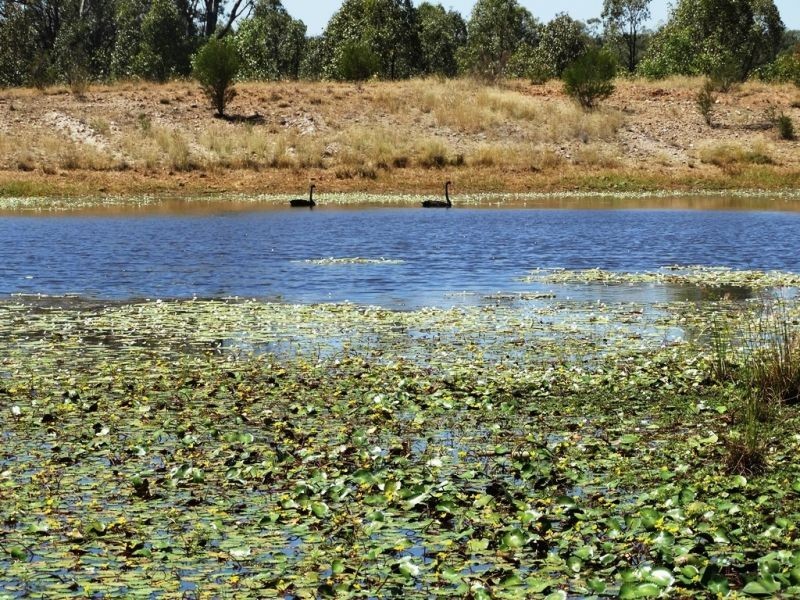 640 ACRES 2400 Butler Road, Drillham QLD 4424