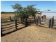 640 ACRES 2400 Butler Road, Drillham QLD 4424