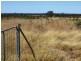 640 ACRES 2400 Butler Road, Drillham QLD 4424