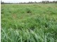 290 ACRES 9 Crystal Creek Road, Kogan QLD 4406