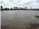 290 ACRES 9 Crystal Creek Road, Kogan QLD 4406
