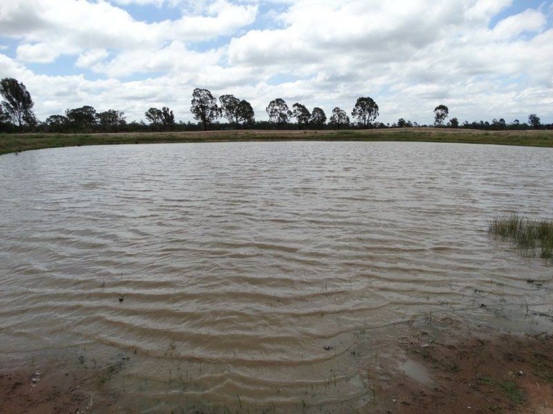 290 ACRES 9 Crystal Creek Road, Kogan QLD 4406