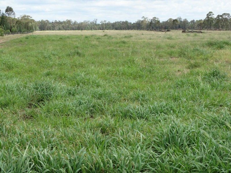 290 ACRES 9 Crystal Creek Road, Kogan QLD 4406