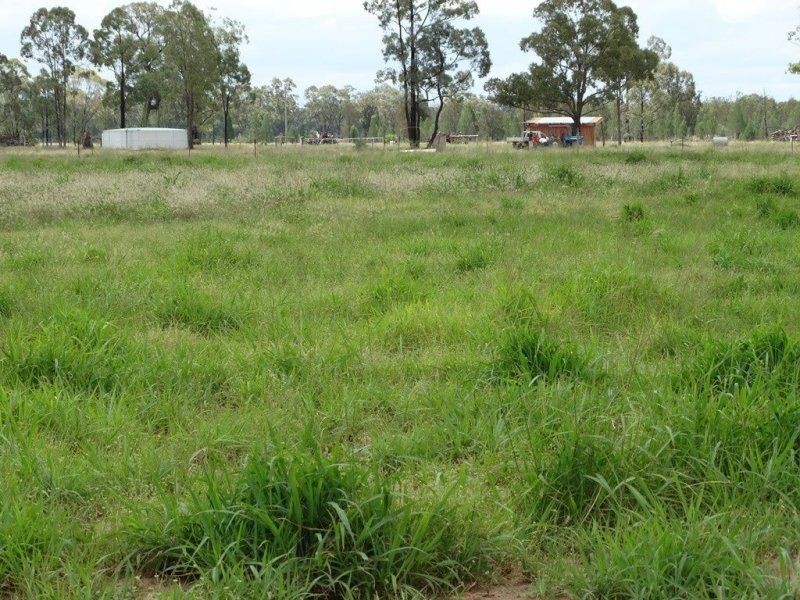 290 ACRES 9 Crystal Creek Road, Kogan QLD 4406