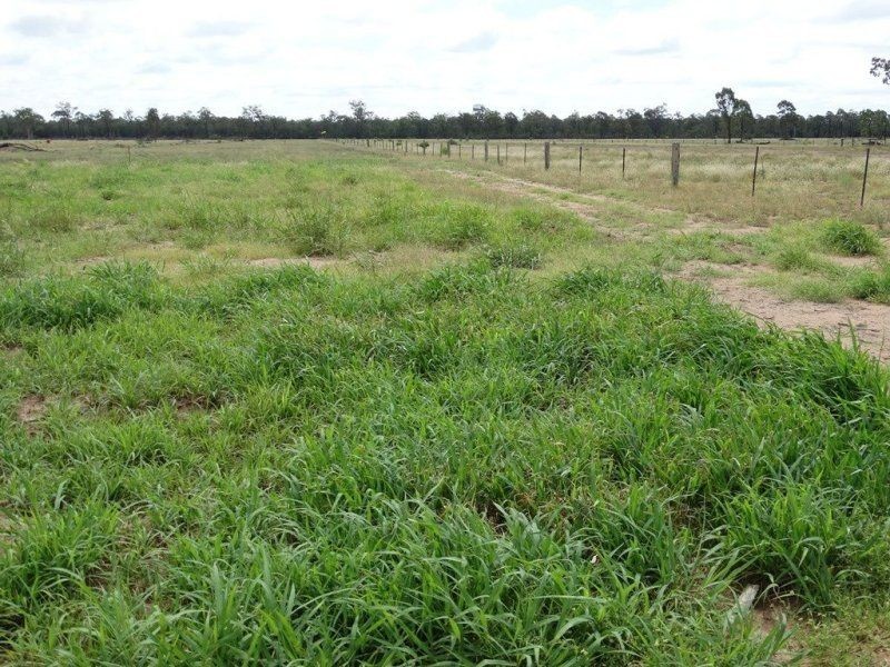 290 ACRES 9 Crystal Creek Road, Kogan QLD 4406
