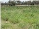 290 ACRES 9 Crystal Creek Road, Kogan QLD 4406