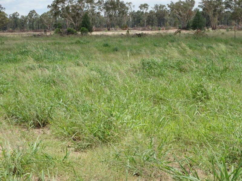 290 ACRES 9 Crystal Creek Road, Kogan QLD 4406