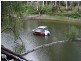 1194 ACRES 567 Hopeland School Road, Chinchilla QLD 4413
