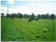 1194 ACRES 567 Hopeland School Road, Chinchilla QLD 4413