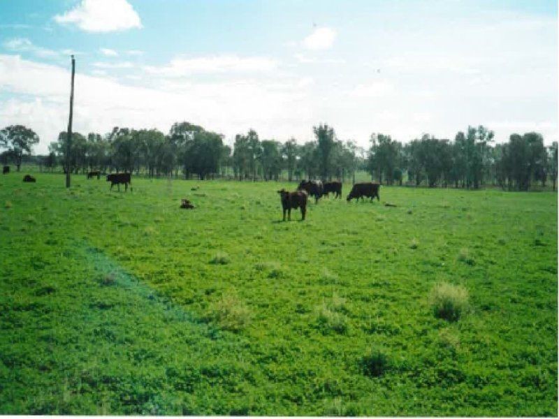 1194 ACRES 567 Hopeland School Road, Chinchilla QLD 4413