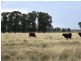 1194 ACRES 567 Hopeland School Road, Chinchilla QLD 4413