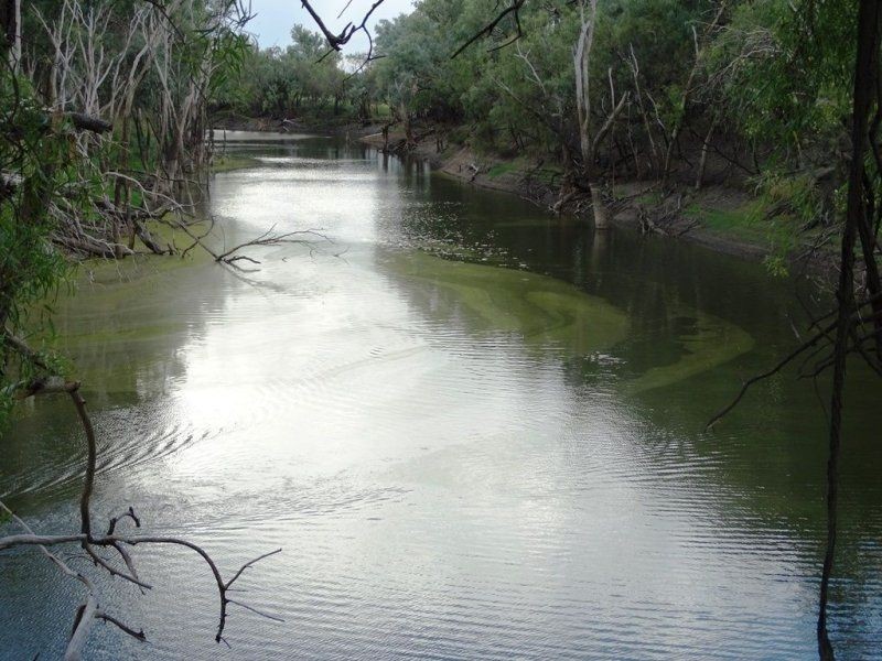 1194 ACRES 567 Hopeland School Road, Chinchilla QLD 4413