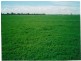 1194 ACRES 567 Hopeland School Road, Chinchilla QLD 4413