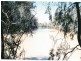 1194 ACRES 567 Hopeland School Road, Chinchilla QLD 4413