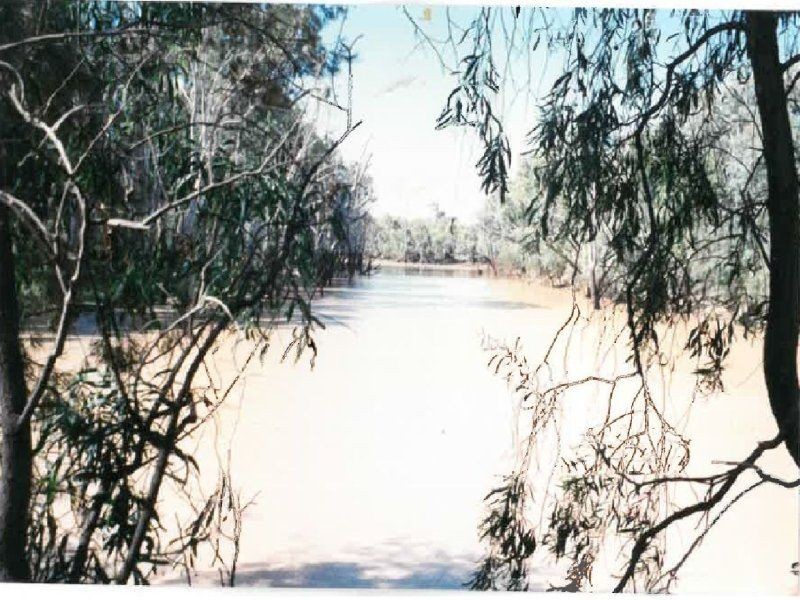 1194 ACRES 567 Hopeland School Road, Chinchilla QLD 4413