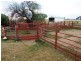1194 ACRES 567 Hopeland School Road, Chinchilla QLD 4413