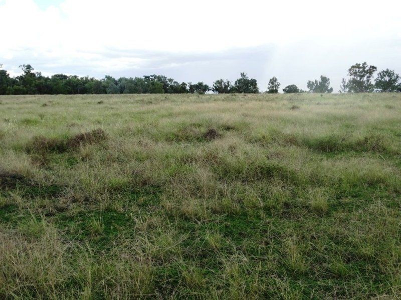 1194 ACRES 567 Hopeland School Road, Chinchilla QLD 4413