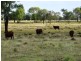 1194 ACRES 567 Hopeland School Road, Chinchilla QLD 4413