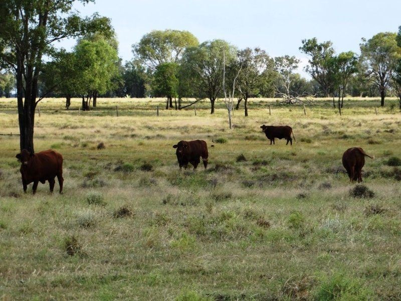 1194 ACRES 567 Hopeland School Road, Chinchilla QLD 4413