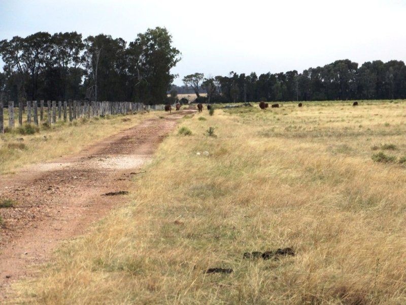 1194 ACRES 567 Hopeland School Road, Chinchilla QLD 4413