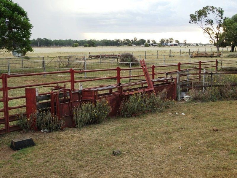 1194 ACRES 567 Hopeland School Road, Chinchilla QLD 4413