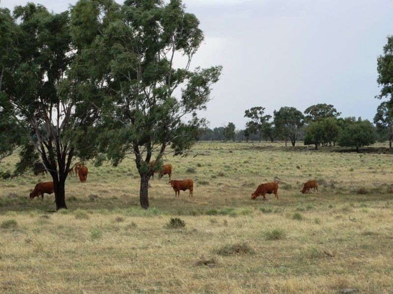 1194 ACRES 567 Hopeland School Road, Chinchilla QLD 4413