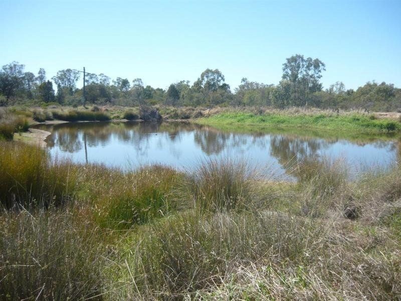 215 ACRES – 38672 – Leichhardt Highway, Miles QLD 4415