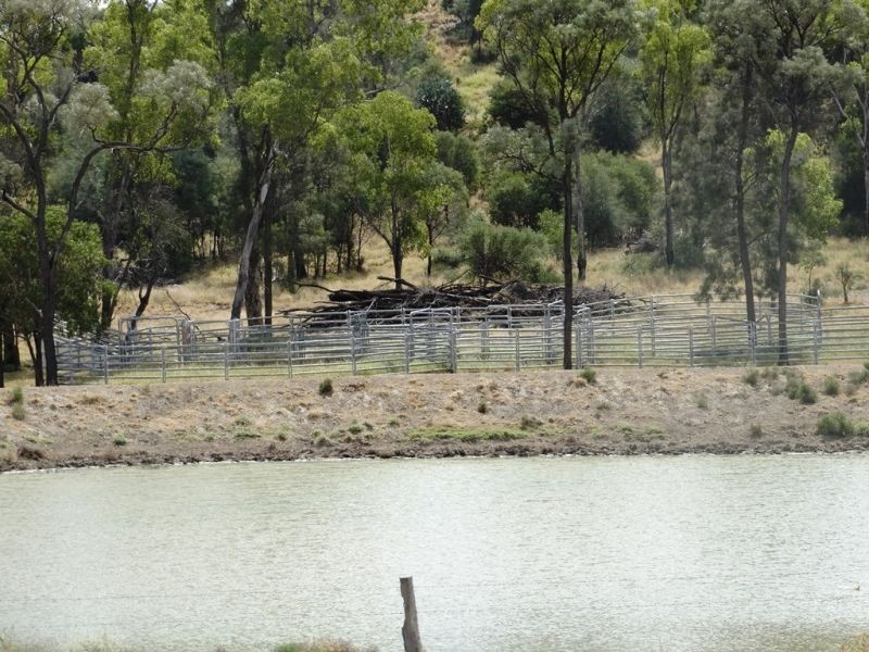 2427 ACRES “Carinya”,Gurulmundi Road, Wandoan QLD 4419