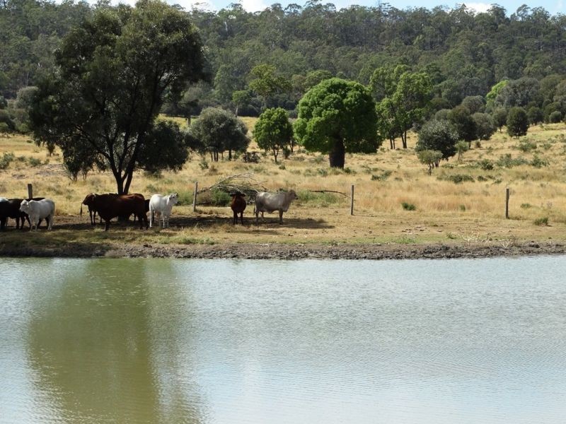 2427 ACRES “Carinya”,Gurulmundi Road, Wandoan QLD 4419