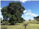 2427 ACRES “Carinya”,Gurulmundi Road, Wandoan QLD 4419