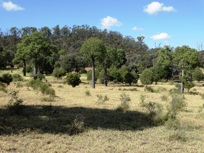 2427 ACRES “Carinya”,Gurulmundi Road, Wandoan QLD 4419