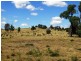 2427 ACRES “Carinya”,Gurulmundi Road, Wandoan QLD 4419